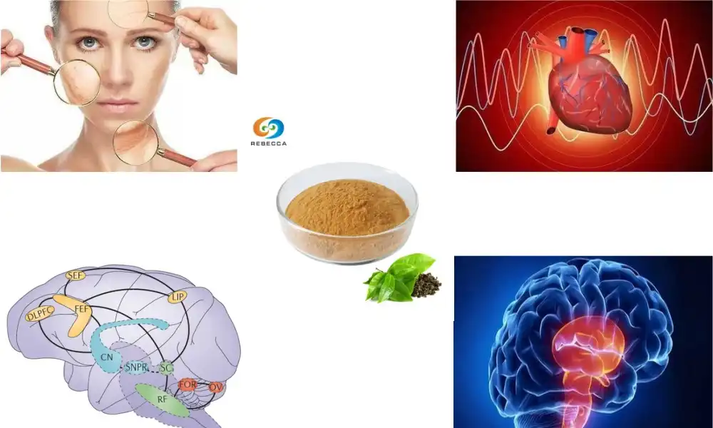 Are tea polyphenols good for you?
